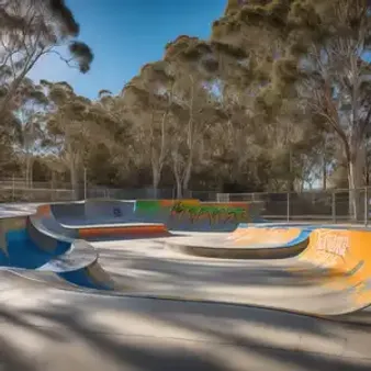 Events and Competitions: The WA Skateboard Scene